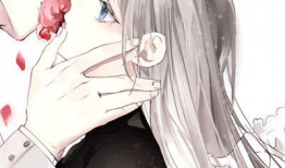 动漫 情侣,动漫情侣的浪漫旅程